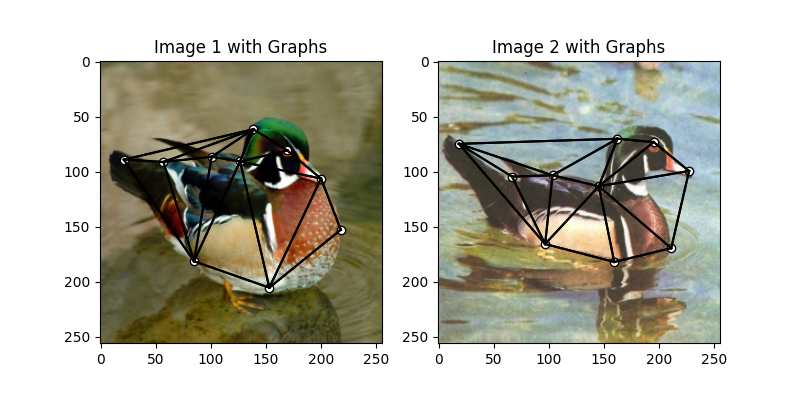 Image 1 with Graphs, Image 2 with Graphs