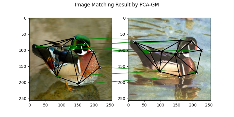 Image Matching Result by PCA-GM