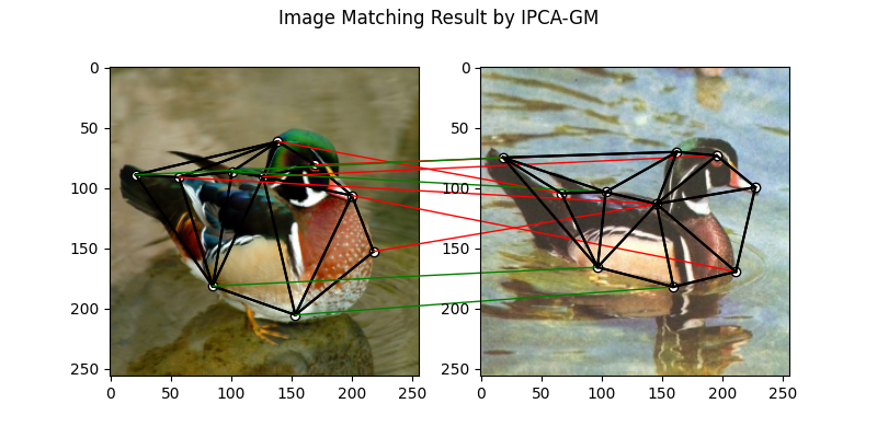 Image Matching Result by IPCA-GM