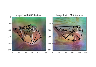 Matching Image Keypoints by Graph Matching Neural Networks