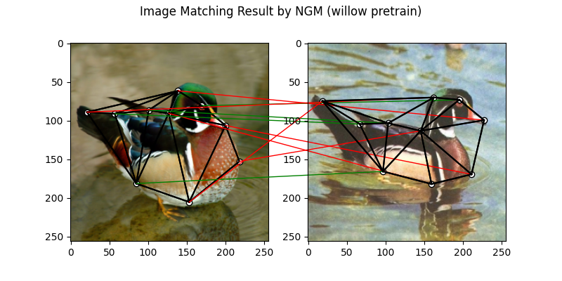 Image Matching Result by NGM (willow pretrain)