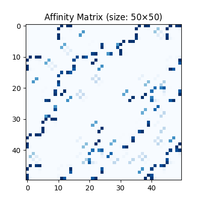 Affinity Matrix (size: 50$\times$50)