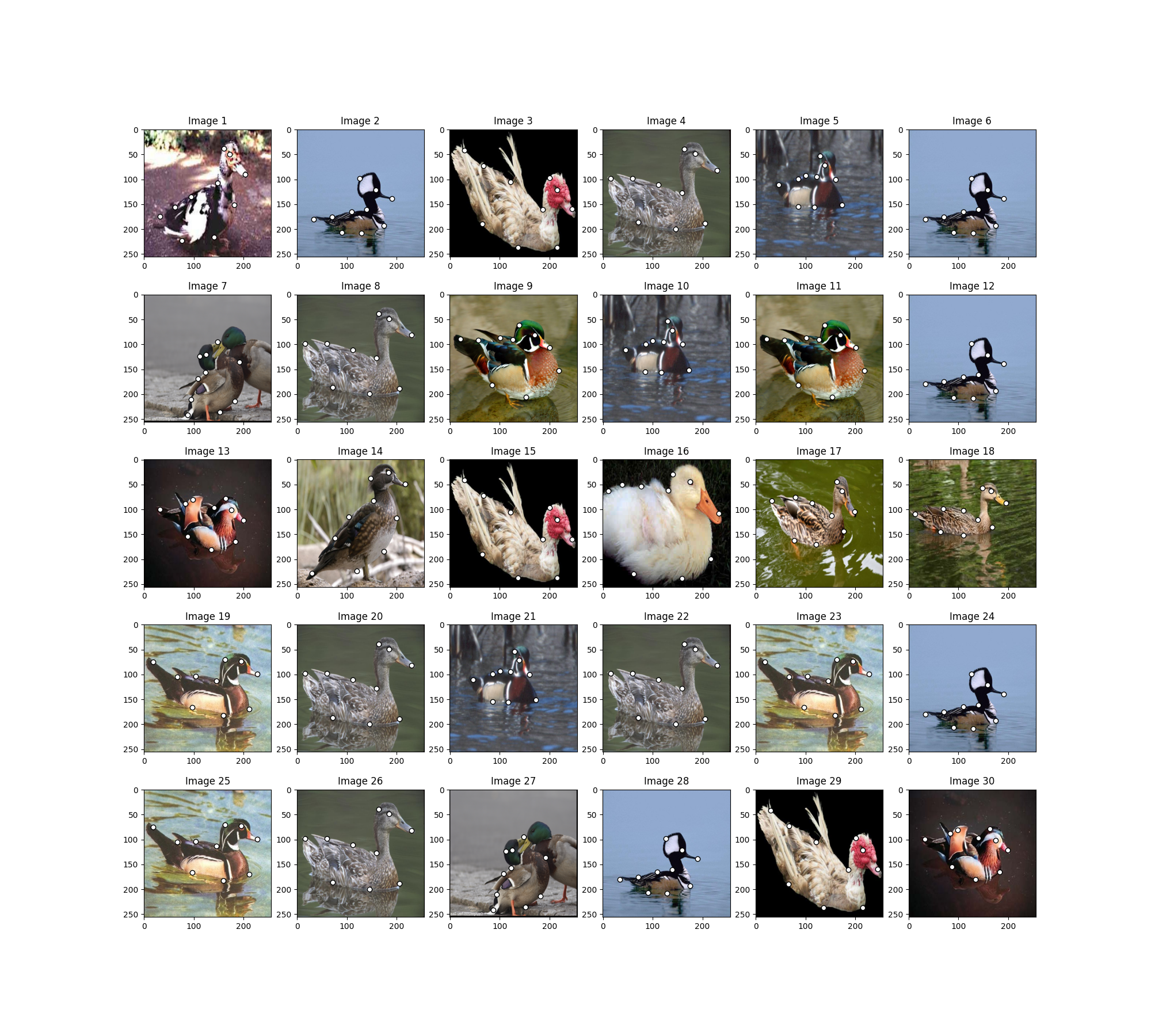 Image 1, Image 2, Image 3, Image 4, Image 5, Image 6, Image 7, Image 8, Image 9, Image 10, Image 11, Image 12, Image 13, Image 14, Image 15, Image 16, Image 17, Image 18, Image 19, Image 20, Image 21, Image 22, Image 23, Image 24, Image 25, Image 26, Image 27, Image 28, Image 29, Image 30