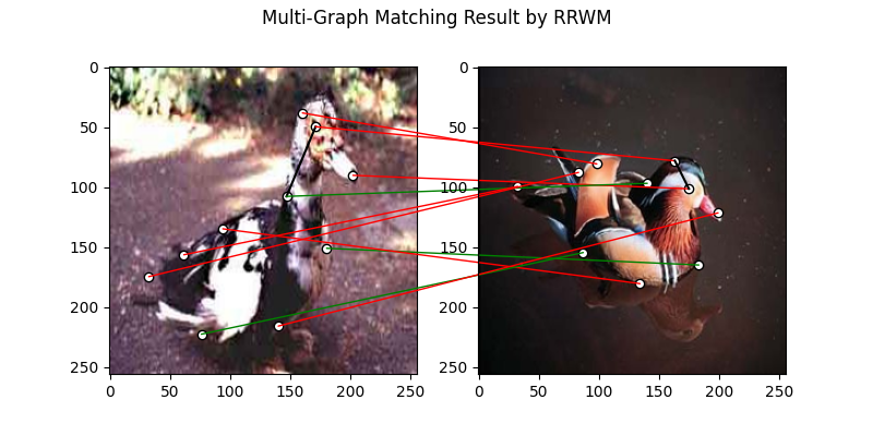 Multi-Graph Matching Result by RRWM