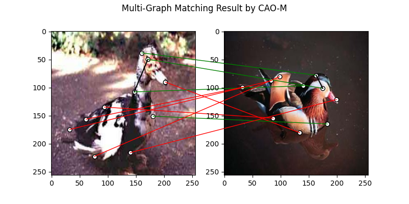 Multi-Graph Matching Result by CAO-M