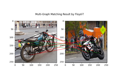 Paddle Backend Example: Multi-Graph Matching