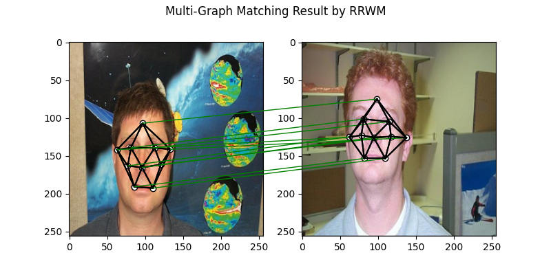 Multi-Graph Matching Result by RRWM
