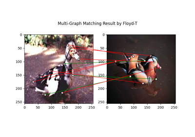 Numpy Backend Example: Multi-Graph Matching