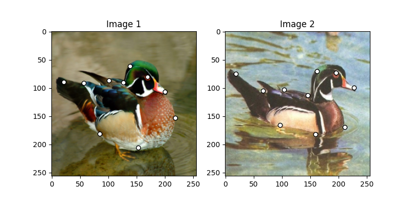 Image 1, Image 2