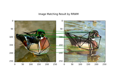 Paddle Backend Example: Matching Image Keypoints by QAP Solvers