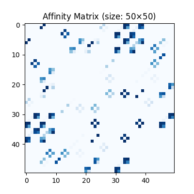 Affinity Matrix (size: 50$\times$50)