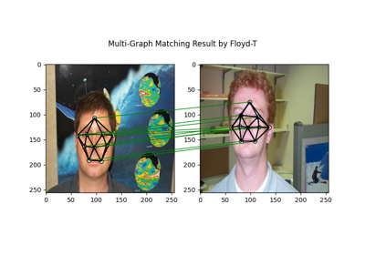 Jittor Backend Example: Multi-Graph Matching