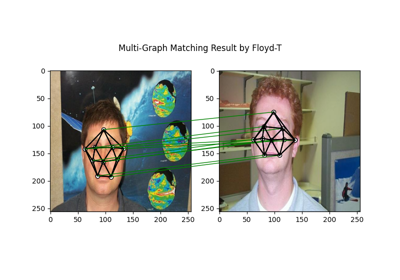 Jittor Backend Example: Multi-Graph Matching