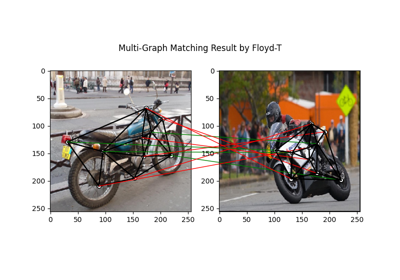 Paddle Backend Example: Multi-Graph Matching
