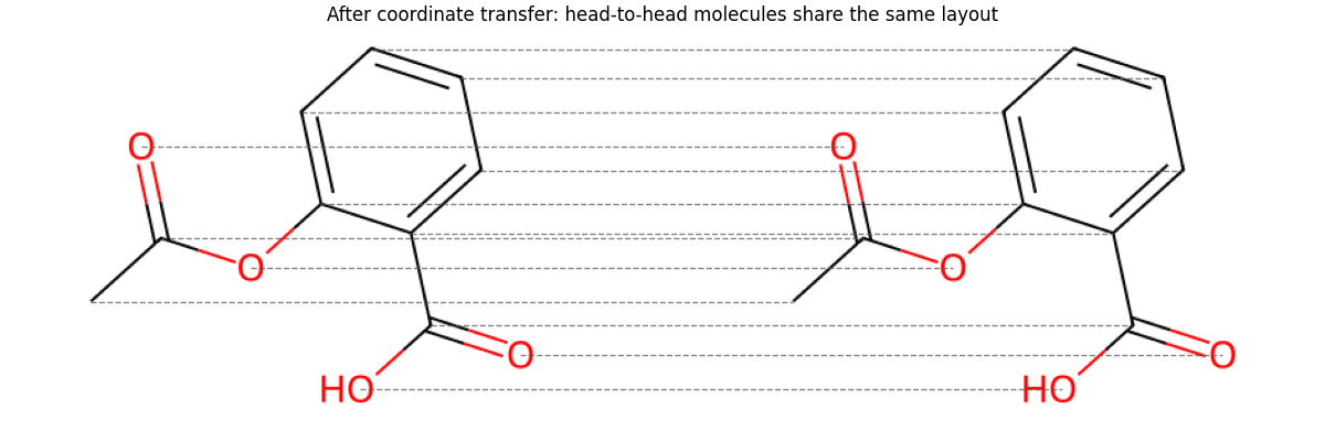 After coordinate transfer: head-to-head molecules share the same layout