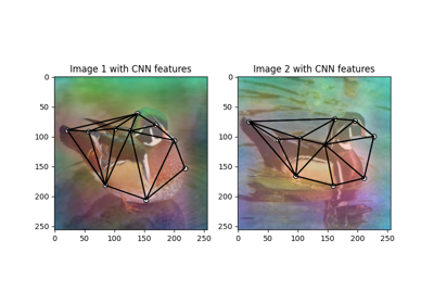 PyTorch Backend Example: Matching Image Keypoints by Graph Matching Neural Networks