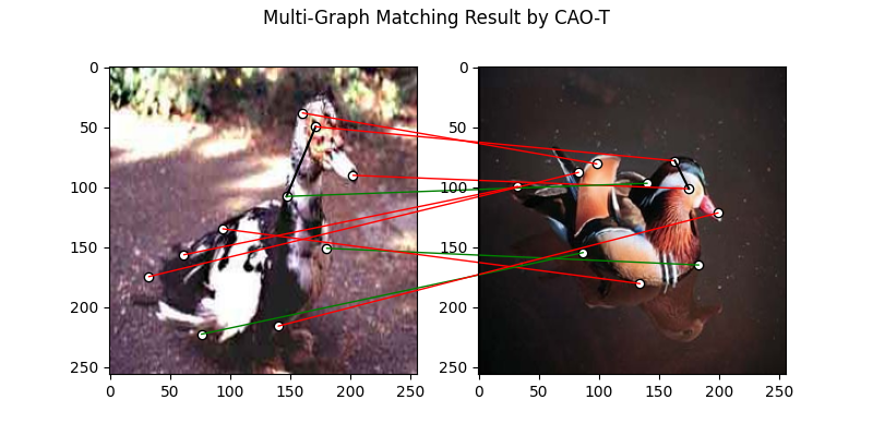 Multi-Graph Matching Result by CAO-T