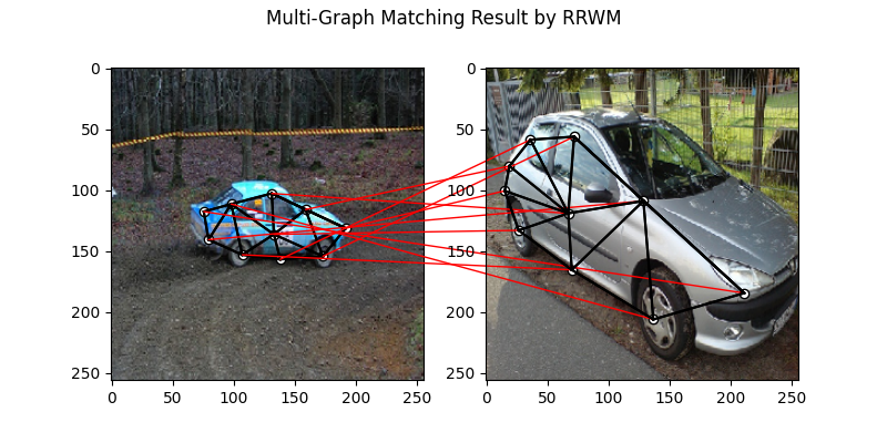 Multi-Graph Matching Result by RRWM
