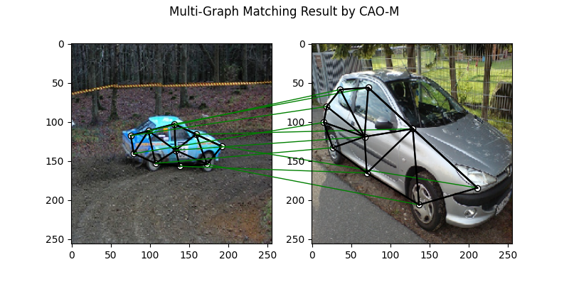 Multi-Graph Matching Result by CAO-M